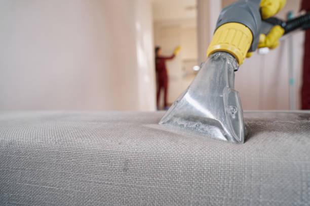 Get Your Furniture Fresh and Clean Today